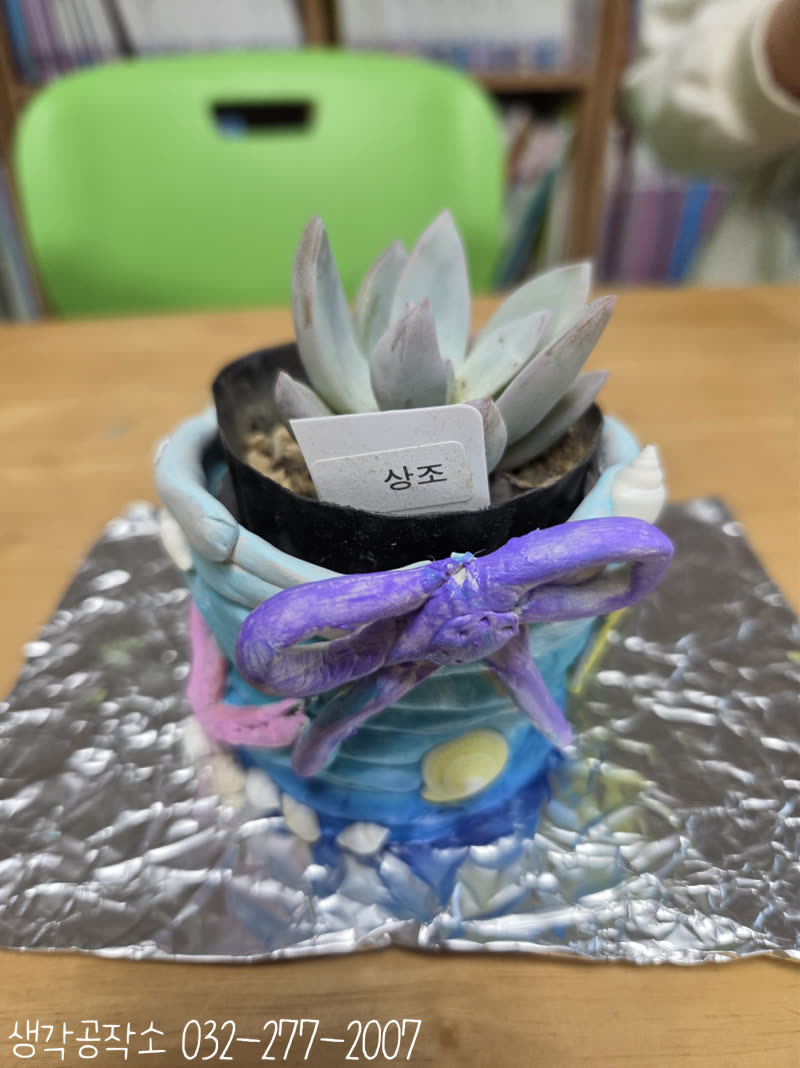 내 손으로 빚은 세상에 하나뿐인 화분! 다육이 심기 🌵✨ 활동 사진 1